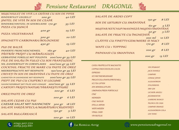 Pensiunea Dragonul- meniu 1