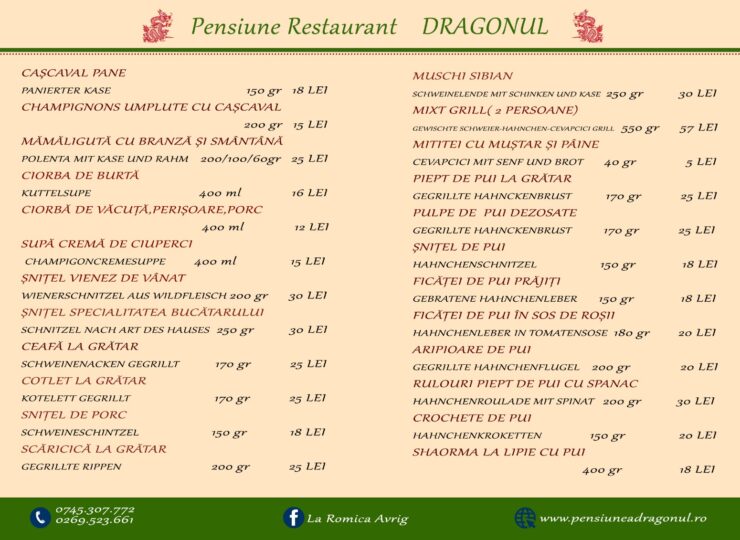 Pensiunea Dragonul- meniu 2